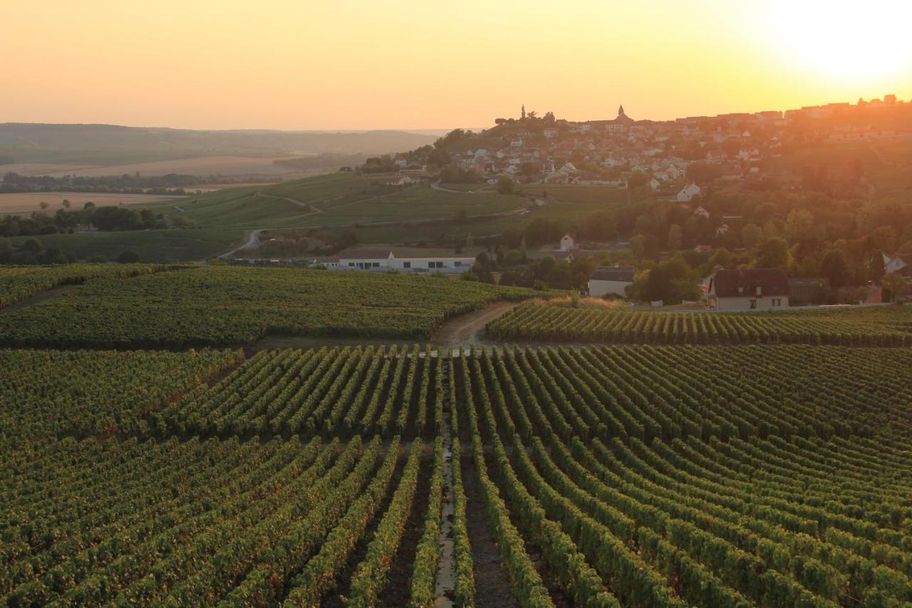 Lodge De La Vigneronne Chatillon-sur-Marne Bagian luar foto